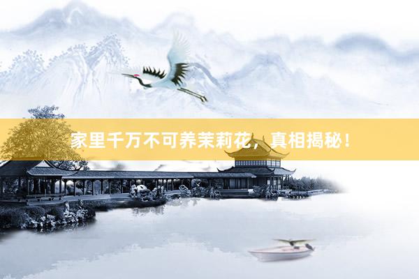 家里千万不可养茉莉花，真相揭秘！