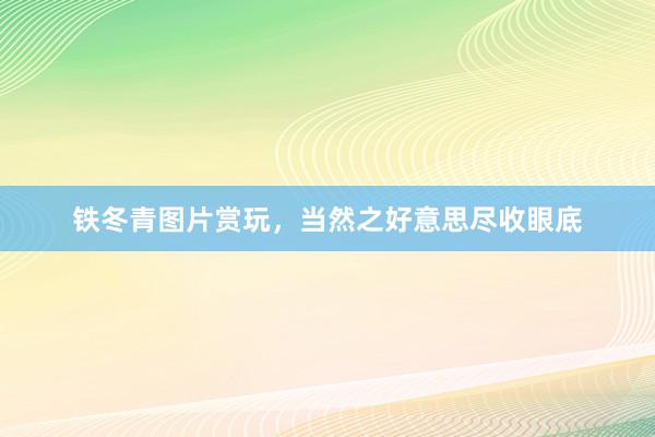 铁冬青图片赏玩，当然之好意思尽收眼底