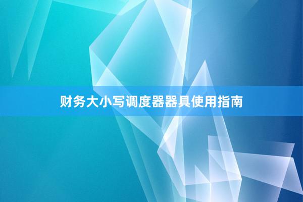 财务大小写调度器器具使用指南