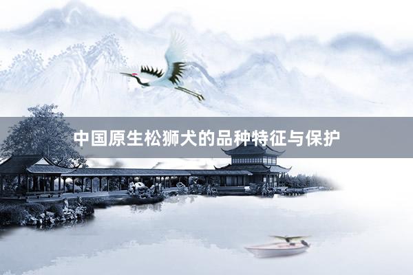中国原生松狮犬的品种特征与保护